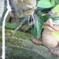 みるきち 会員画像
