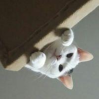 会員画像