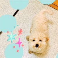 会員画像