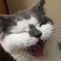 天丸 会員画像