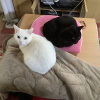 なるみつ 会員画像