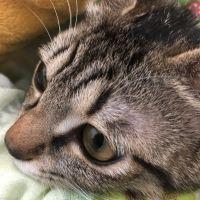 いこく 会員画像