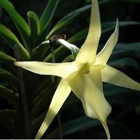 さとうじゅ。 会員画像