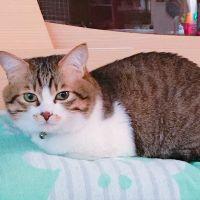 会員画像