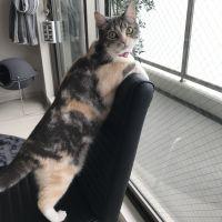 ファノン 会員画像