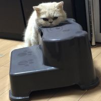会員画像