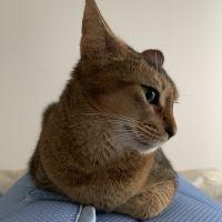 会員画像
