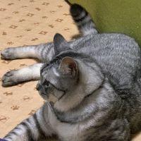 Yuki-t 会員画像