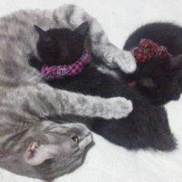 ひろv_v 会員画像