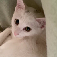 ハッチロー 会員画像