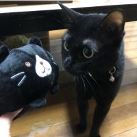 会員画像