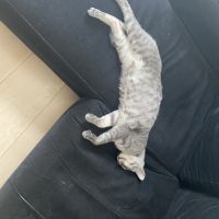 ももっ子 会員画像