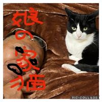 癒し処夢都 会員画像