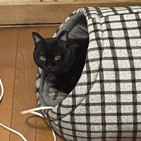 会員画像