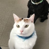 コナッティ 会員画像