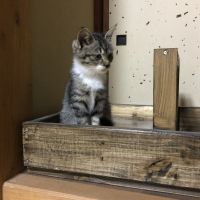 丸平かんな 会員画像