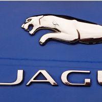 Jaguar 会員画像