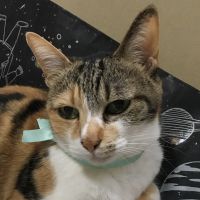 ゆかめぐ 会員画像