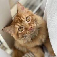 えくせる 会員画像