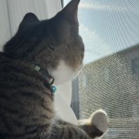 スカイシーランド 会員画像