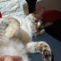 マオマオ2015さん