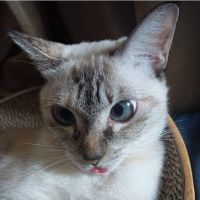 マオマオ2015さん