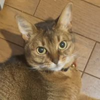 渡邊るなさん
