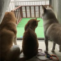 みほ0211 会員画像
