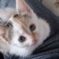 みゅう母 会員画像