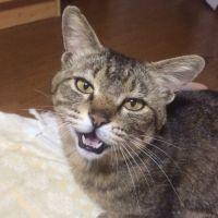 Summer723 会員画像