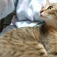 みみみ〜こ 会員画像