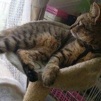 もぐりん 会員画像