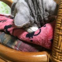 *ゆりこ* 会員画像