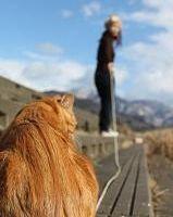 tomo*tomo 会員画像