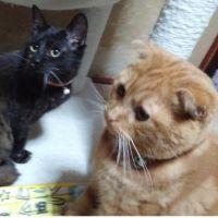 会員画像