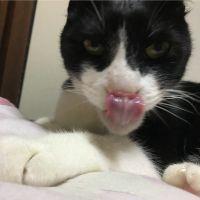 あやあやさん 会員画像