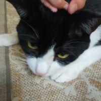 とみあま 会員画像