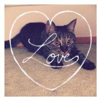 かじもも 会員画像