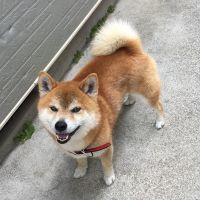 会員画像