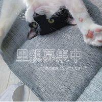 会員画像