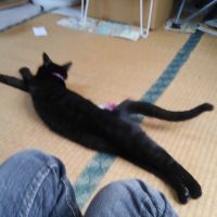 食う太郎 会員画像