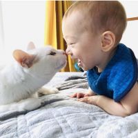 あいこたる 会員画像