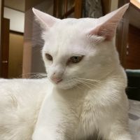 マサノリ- 会員画像