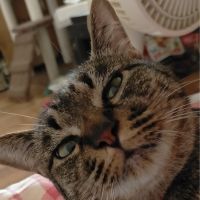 会員画像