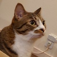 サビもじゃ 会員画像