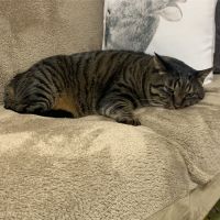 aki.r.k.h.c 会員画像