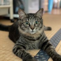 まろんクリームさん