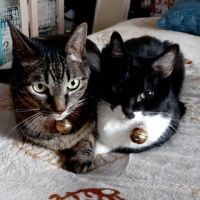 ういぽん 会員画像