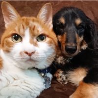 くにちぇ 会員画像