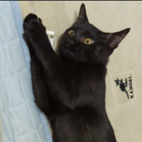 みぽくろ 会員画像